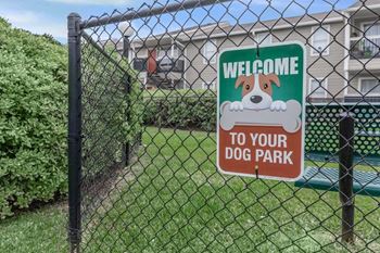 Dog park